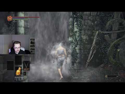 the DS3 Co-Op Experience