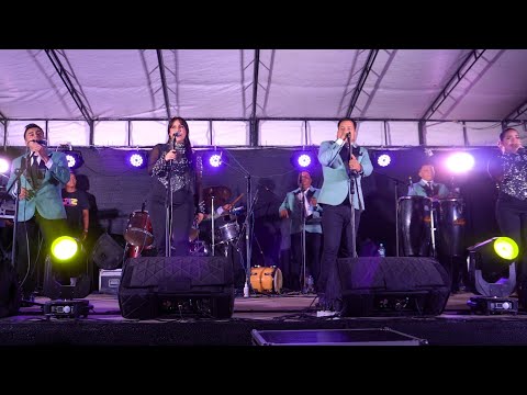 No es mi Problema (En vivo) - Orquesta Sentimiento