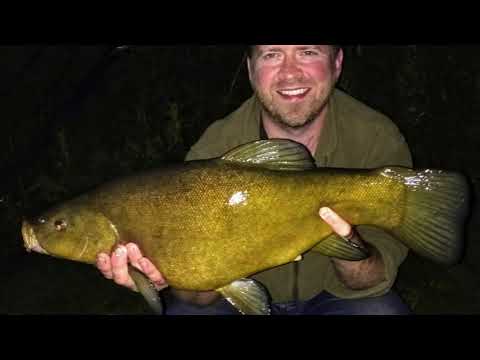 Oxfordshire Tenchfishers Fish-in on Oxlease Lake, Linear Fisheries