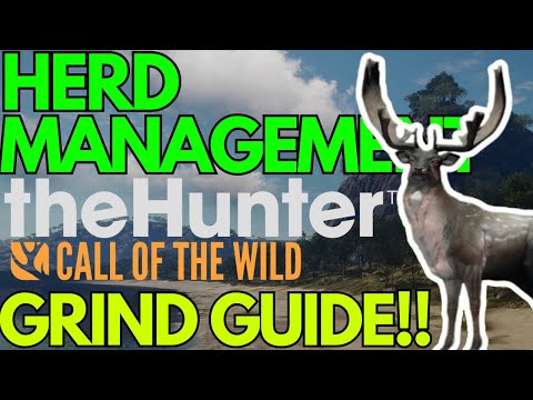 HERD MANAGEMENT EXPLAINED!! - Call of the Wild