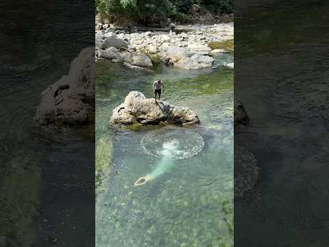 Natación en el río Moro Norcasia Caldas