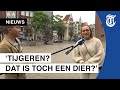 Nederlandse meisjes krijgen brief dienstplicht