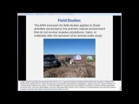 wildlife p hd OLAW Online Seminar - Oversight of Research Involving Wildlife