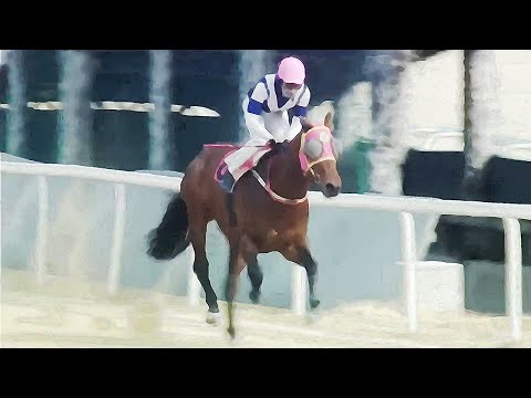 8/3-일요-손석범-[가야할마필]또,복병/다적중+중배당+승부처/계속GO~!