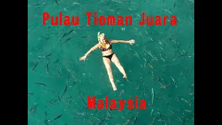 preview picture of video 'Malaysia pt. 3 of 11 Pulau Tioman Juara'