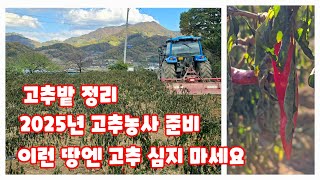 고추밭 정리 하면서 2025년 대비 해서는 안될일 이런땅엔 고추 심지마세요 [고추재배방법]