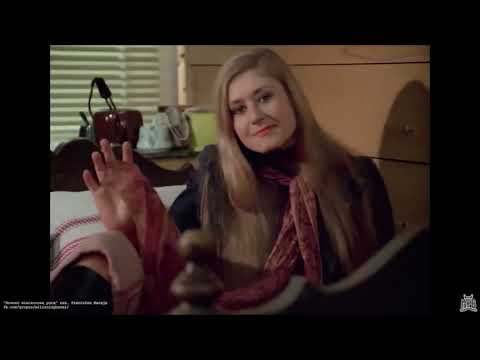 Maklakiewicz kustosz xD