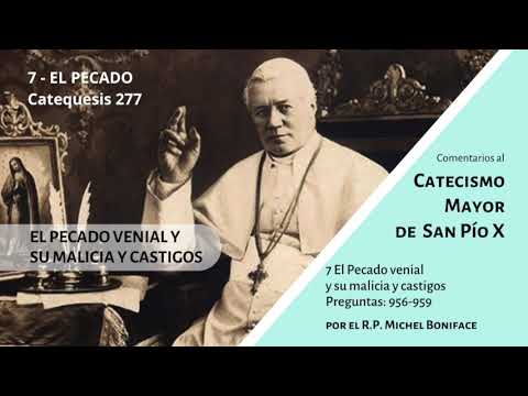 [CMSPX 348] El pecado venial y su malicia y castigos