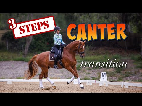 Perfect Your Canter Transitions in One, Two, Three!