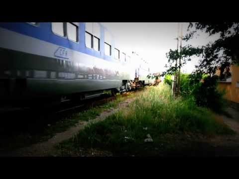 GOARNE LDE GM 65-1013-55