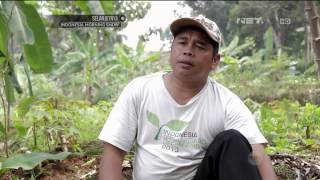 Download lagu Cinta Bumi - Warung Organik Koperasi Sumber Usaha Lestari -NET5 mp3 Download lagu Cinta Bumi - Warung Organik Koperasi Sumber Usaha Lestari -NET5 mp3