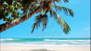 Hawaii Bombay -Mecano