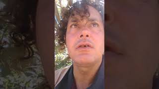 Lou Reed A Perfect Day Cabaret Style