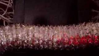 No Name Desire: Graven Image