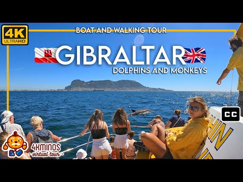 GIBRALTAR Dolphins & Monkeys - 4K (Ultra HD) Walking Virtual Tour UK (2022)