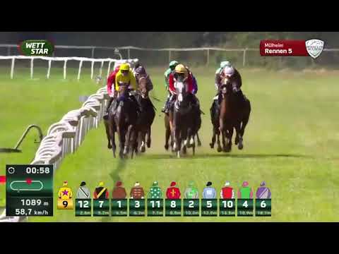 2025 Vente d'Elevage - Lot 142 - STUGARDIA - 3rd - BBAG Diana Trial - Listed - Mülheim