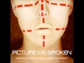 Picture Me Broken - Beautiful disguise 