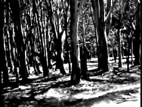 Santiago Cossarini Nahual - Para consolar