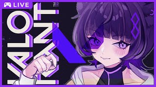 【VALORANT】大会抽選まだだけどチーム練習💜✨【月影ネロ-Nero Tsukikage- / Vtuber】