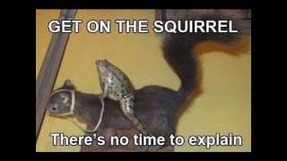 citizen fish time control