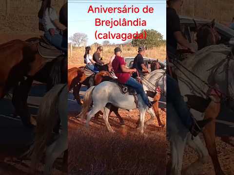 aniversário de Brejolândia Bahia calvagada #gado