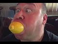 The Will Sasso Lemon Compilation Video