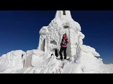 Zarina Prvasevda - Oj Zarino Prvasevdo