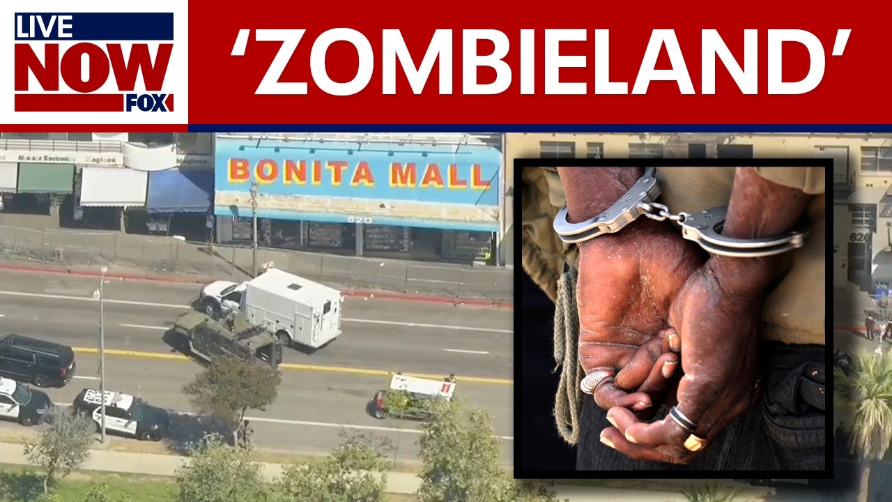 Major LA drug bust: Operation Free MacArthur Park
