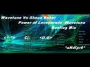 Wavetune Vs Shaun Baker - Power of Loveparade