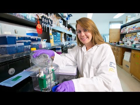 Faculty & Research | Chemistry