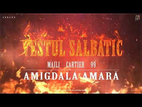 VESTUL SALBATIC - AMIGDALA AMARA (MAILI ❌ CARTIER ❌ 99) | prod. 14不识字