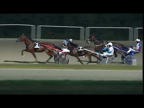 Napoli Trotto 25/08/2023 - 4ª corsa