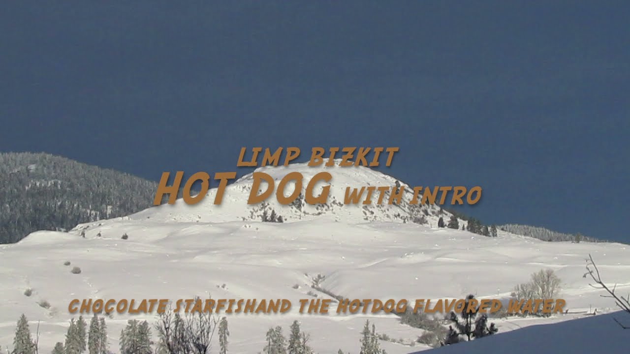 Watch video Limp Bizkit - Hot Dog (Lyrics) Now Limp Bizkit - Hot Dog (Lyrics)