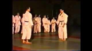 preview picture of video '1996-Judo-Vorführung.mpg'