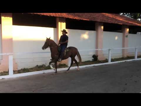 SAMURAI MONTE VERDE , CAMPEONATO  NACIONAL 2019