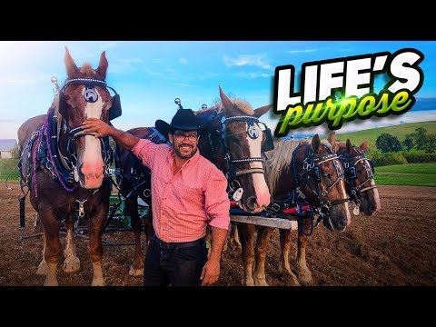 &#x202a;What Living On a Farm Taught Me About Purpose &amp; Profit&#x202c;&rlm;