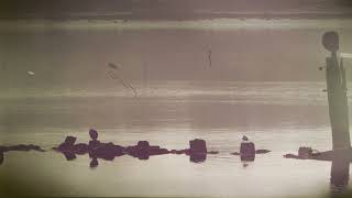 No-Man - Painting Paradise