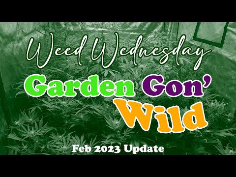 Garden Gon' Wild! - Feb 2023 Indoor Grow Update