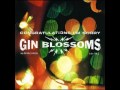 Gin Blossoms - My Car