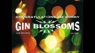 Gin Blossoms - My Car