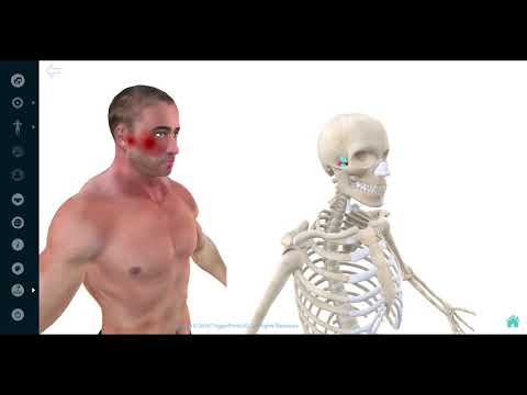 Trigger Point of the Week "Lateral Pterygoid"