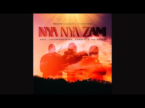 Mellow & Sleazy x Tman Xpress - Nya Nya Zam (feat. LastBornDiroba, Zambezi & The Squad)