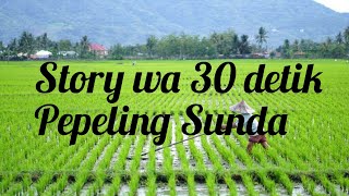 Download lagu Story wa 30 detik ||  Pepeling sunda mp3