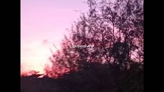 Download lagu Story WA Lagu Rosoku || Didik Budi feat. Cindi Cintya Dewi mp3