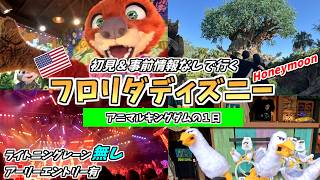 Day1 壮観！世界最大級の動物園ディズニー！初見＆事前情報なしで行くアニマルキングダムの1日！Disney’s Animal Kingdom【ウォルトディズニーワールド／WDW】