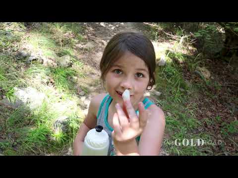 A video of camping at Crystal Springs Campground and hiking at Lake Quachita State Park