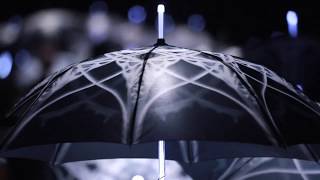 ELIZABETH TURK : SHORELINE PROJECT