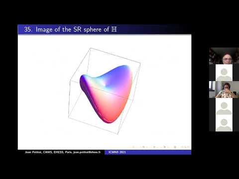 Jean Petitot - Cortical functional architectures and contact geometry