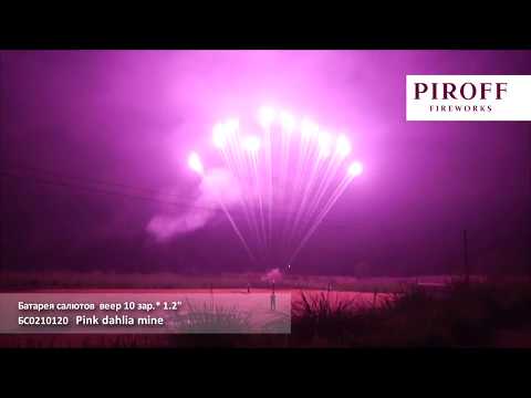 БС0210120   Pink dahlia mine