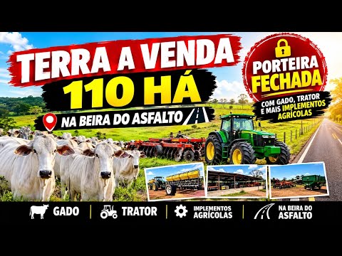 FAZENDA À VENDA – PORTEIRA FECHADA NO MARANHÃO 110 HÁ 